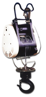 商場用電動葫蘆展示圖